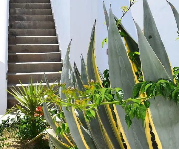 Διαμέρισμα Katerina